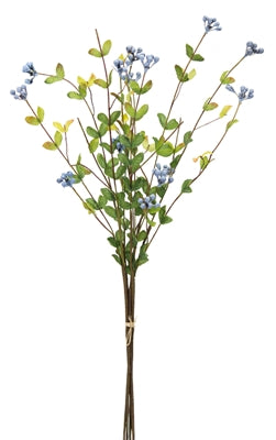 Blue Berry Bundle 21"
