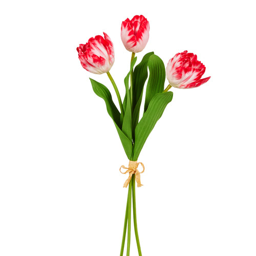 Red and White Tulip Bundle