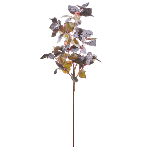 Purple Basil Spray