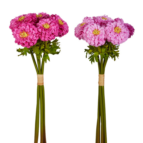 Pink Zinnia Bundle