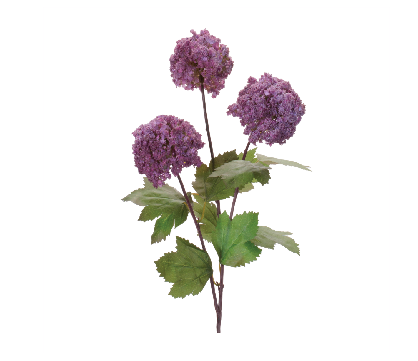 Snowball Branch in Purple