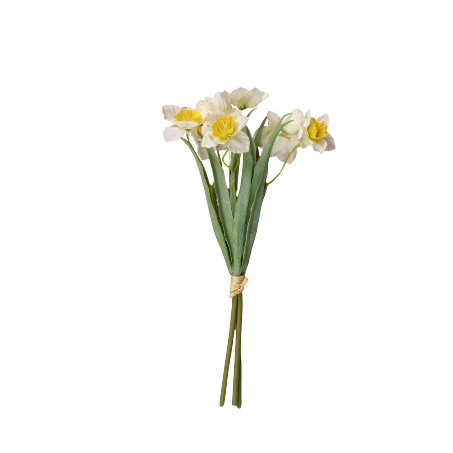 White & Yellow Daffodil Bundle