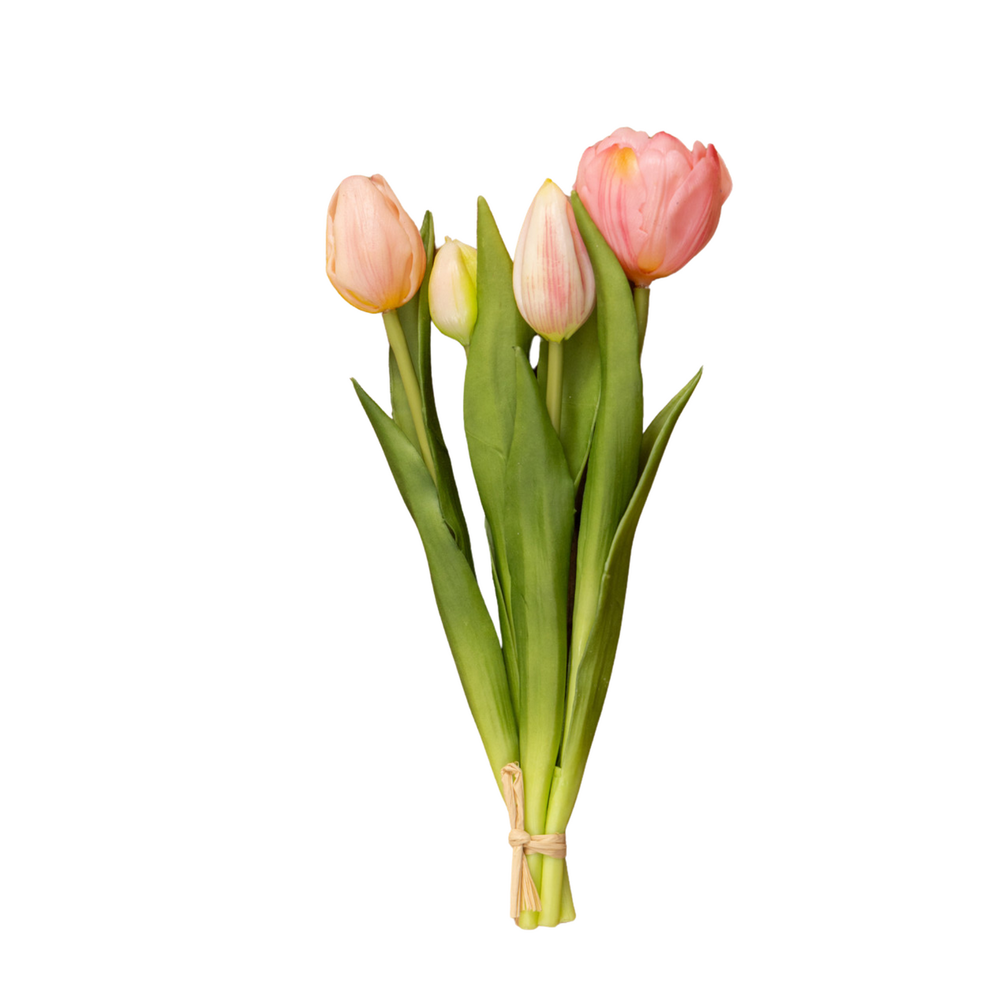 Pale Pink Tulip Bush