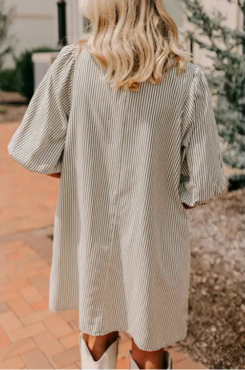 Mr. Stripy Shirt Dress