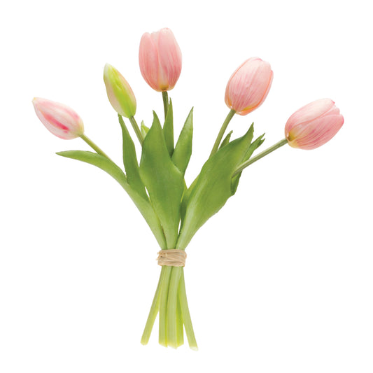 Tulip Bundle - Soft Pink