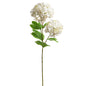 Fresh Cut Hydrangea Stem