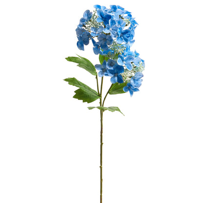 Fresh Cut Hydrangea Stem