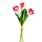 Red and White Tulip Bundle