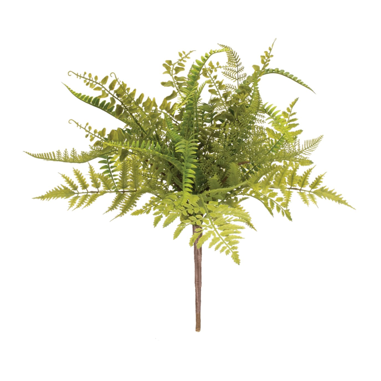 Mixed Fern Bush