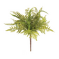 Mixed Fern Bush