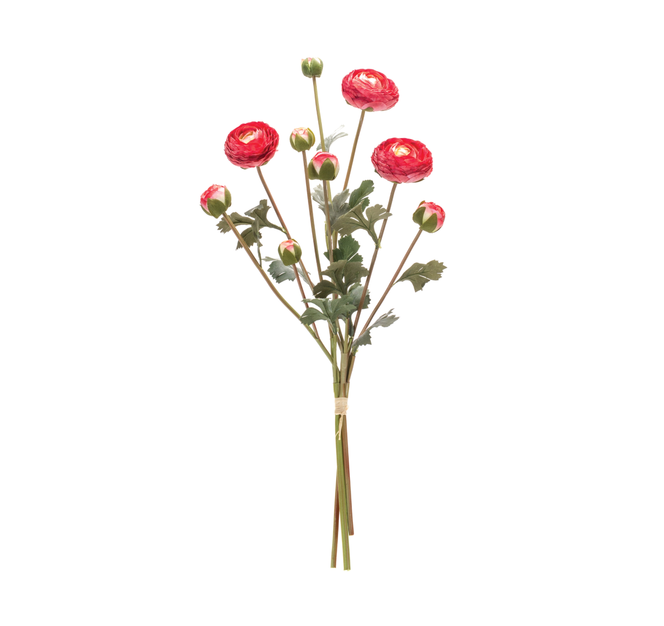 Ranunculus Bundle