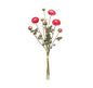 Ranunculus Bundle