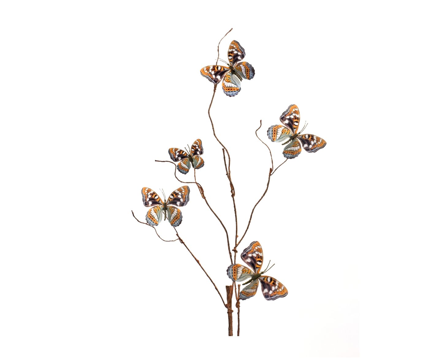 Butterfly Stem