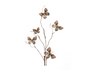Butterfly Stem