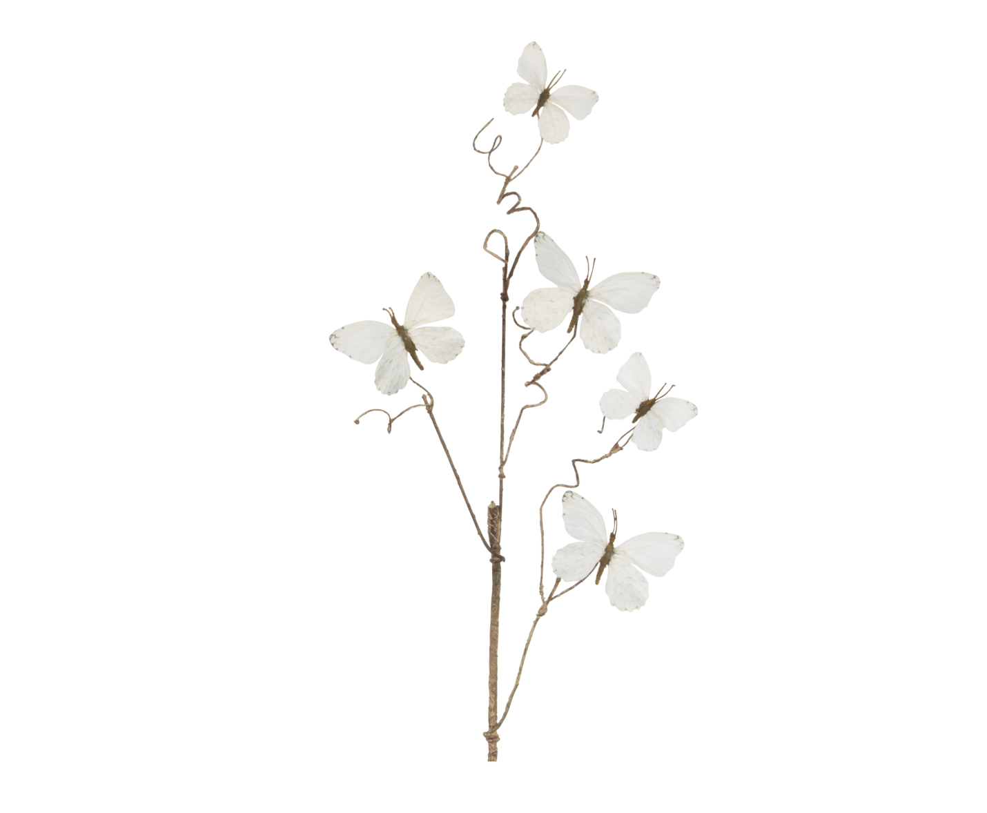 Butterfly Stem