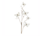 Butterfly Stem