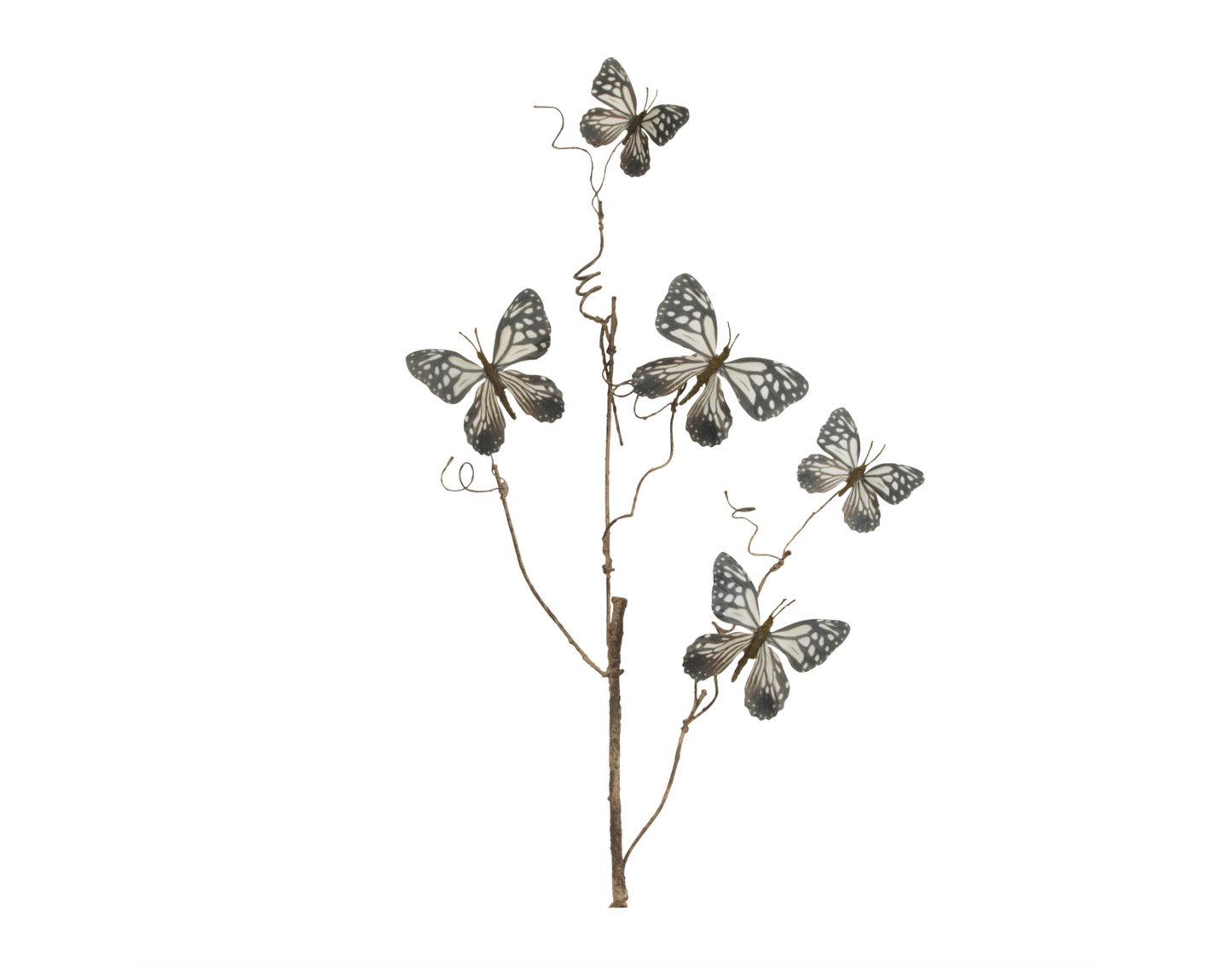 Butterfly Stem