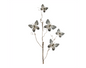 Butterfly Stem