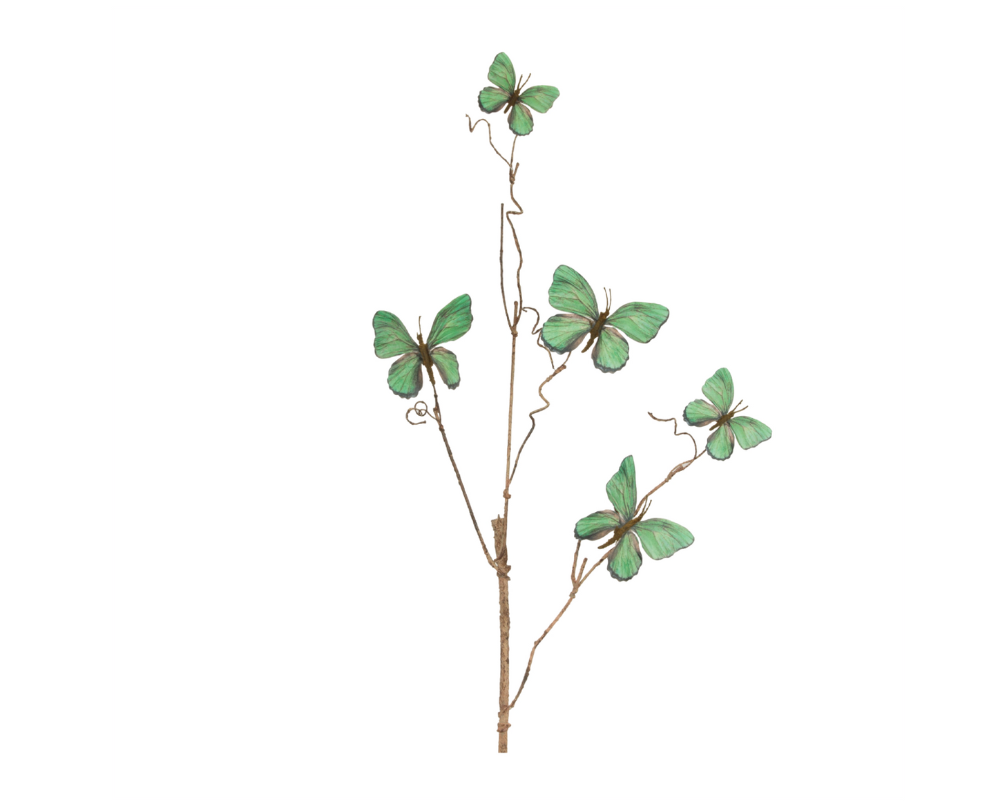 Butterfly Stem