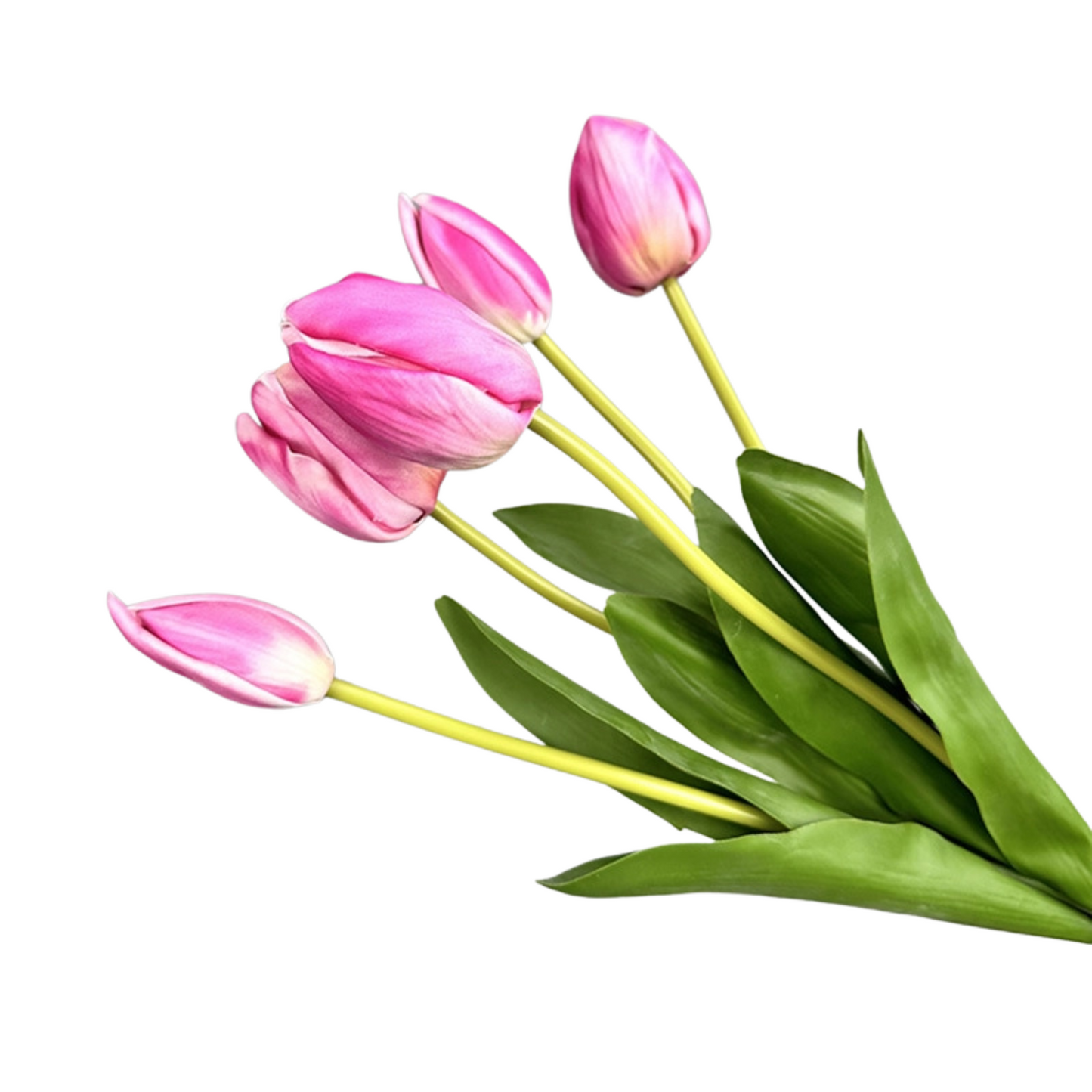 Real Touch Tulip Bundle