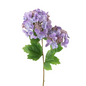 Fresh Cut Hydrangea Stem