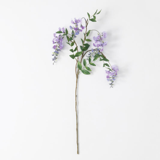 Wisteria Stem